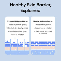 LANEIGE label and jar details showing dermatologist-tested formula