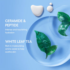 LANEIGE mist inside a travel pouch demonstrating portability and on-the-go hydration benefit