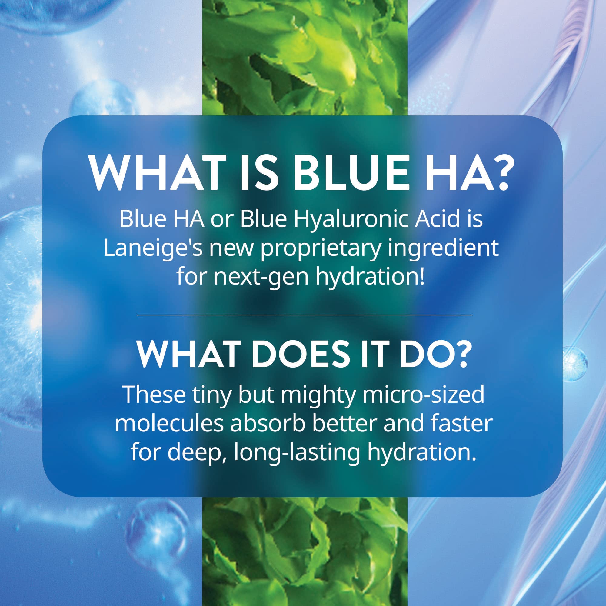 LANEIGE label with peptides and green tea enzyme highlighting firming benefit