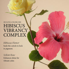L’ANZA hibiscus and gugo bark ingredients staged to show natural vibrancy support