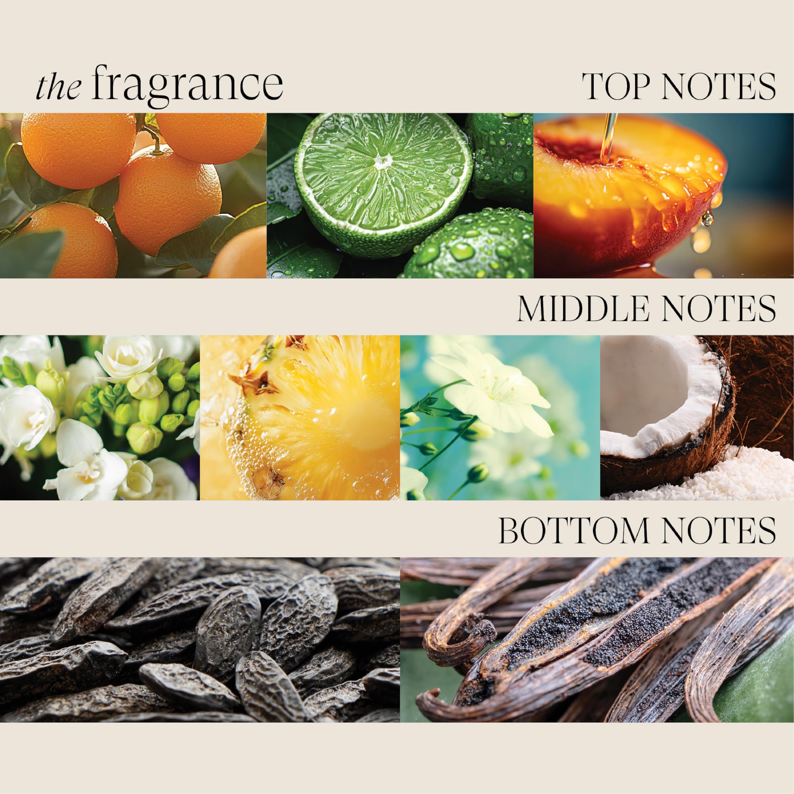 L’ANZA label close-up of Polynesian Gugo Bark listing restorative benefits