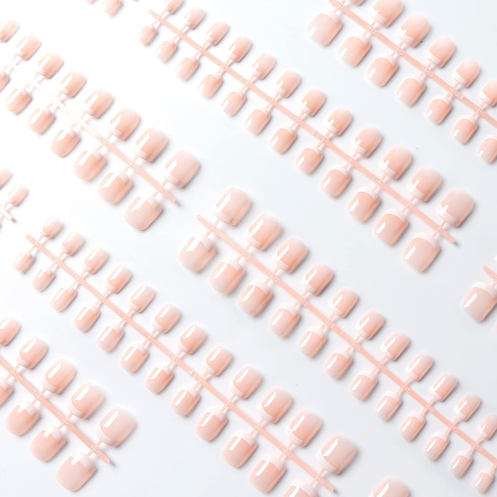 LIARTY nails arranged by size to show 12 sizes and easy size selection benefit