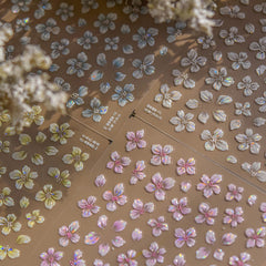 LIDUNANWU front packaging showing four sheets and color variety, clear selection benefit