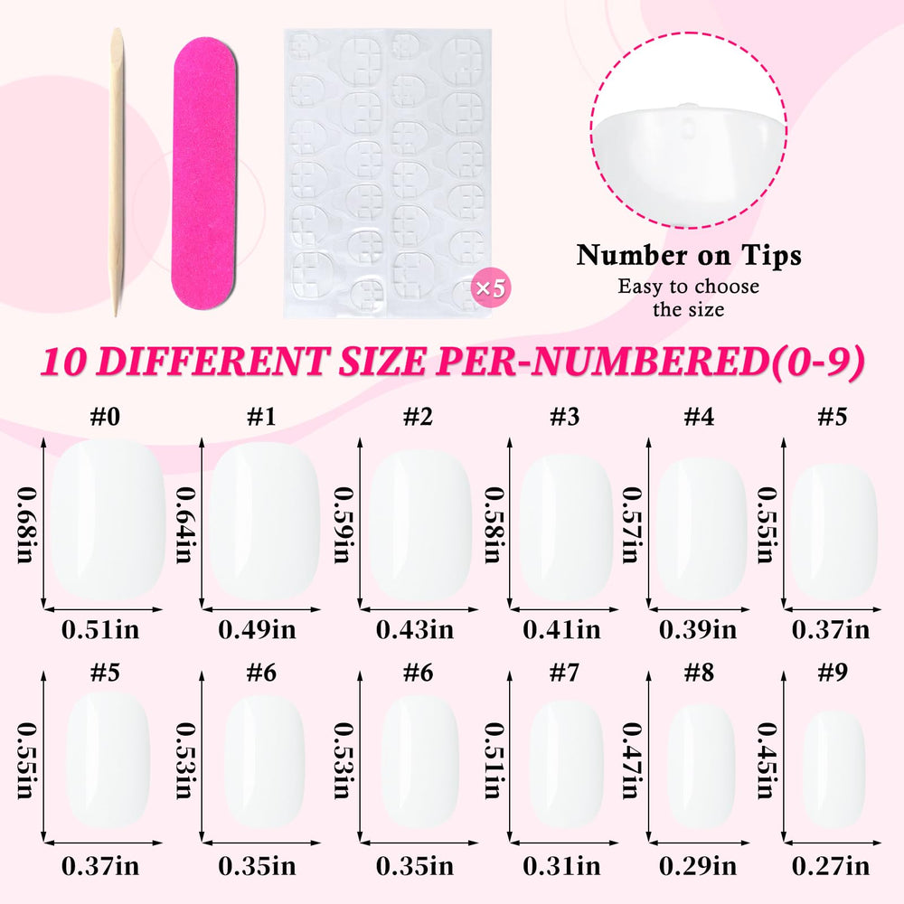 Lifextol transparent box with 12 sizes organized for quick selection