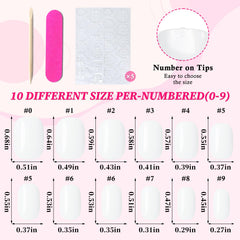 Lifextol transparent box with 12 sizes organized for quick selection