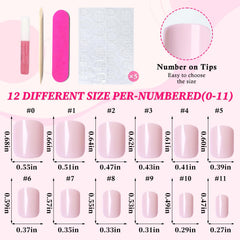 Lifextol size selection spread showing 12 sizes for precise fitting benefits