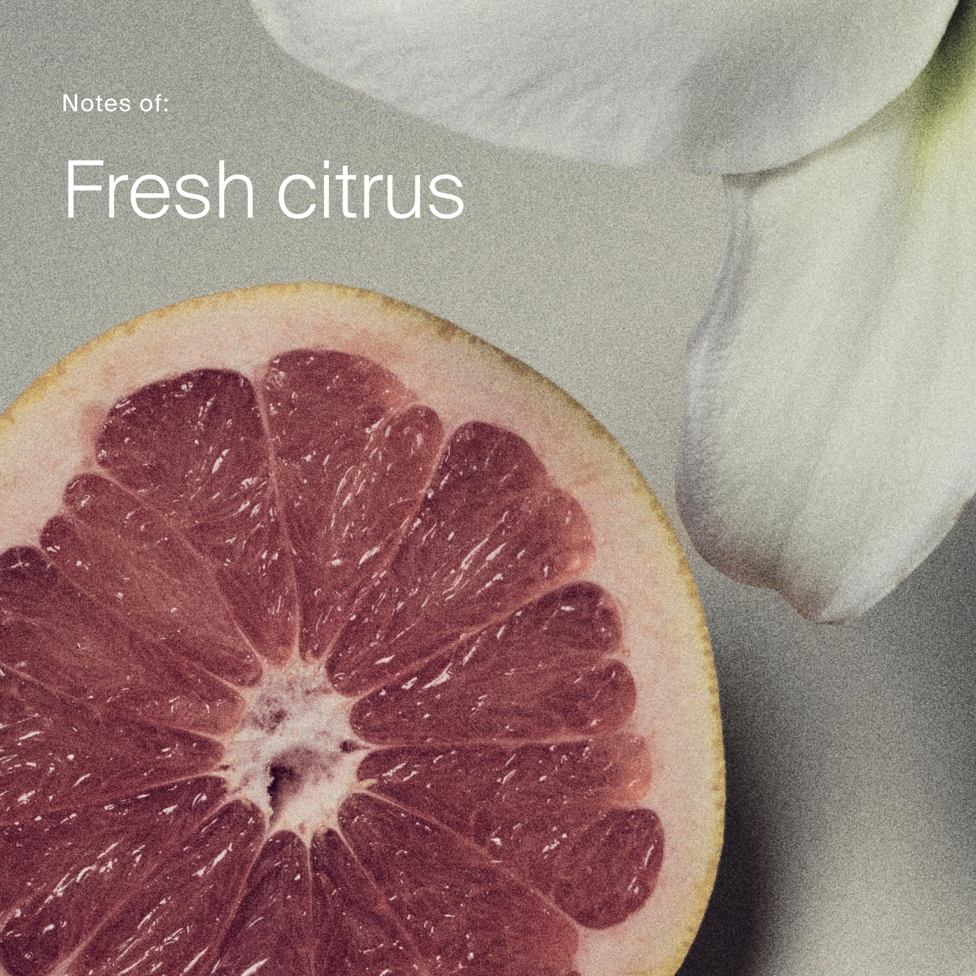 Living Proof label and ingredients view showing transparent formulation detail
