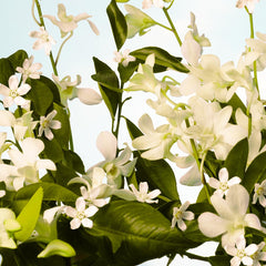 L'OCCITANE with neroli blossoms and orchid petals highlighting fragrance notes