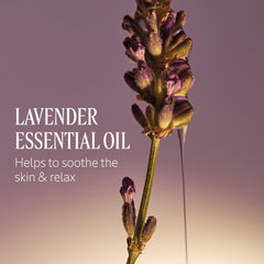 L'OCCITANE Shea extract and lavender flowers illustrating natural ingredients benefit