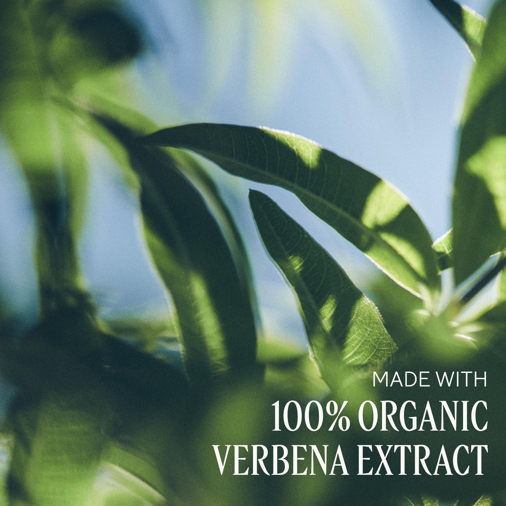 L'OCCITANE label close-up highlighting shea and verbena extracts