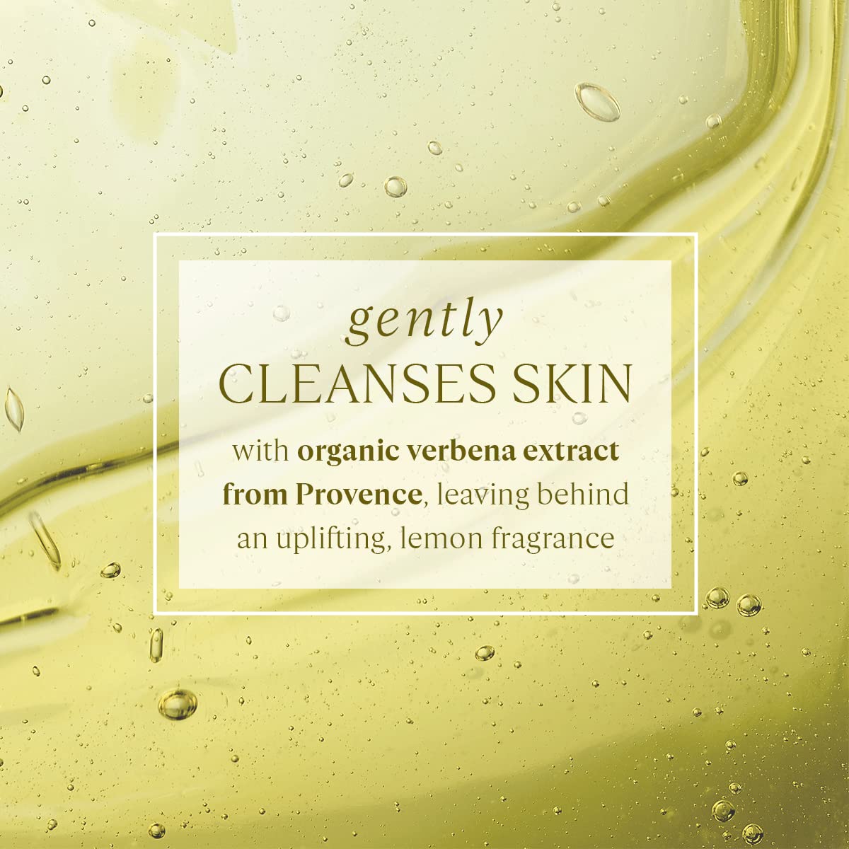 L'Occitane verbena foam lather on hand, gentle cleansing and soft feel