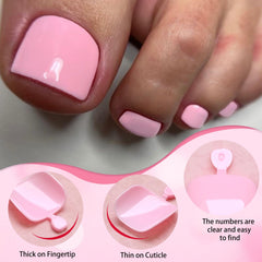 LoveOurHome array of numbered toe tips displaying 12 sizes for a tailored fit on toes
