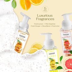 Lovery five bottles lined at kitchen sink showing variety and household readiness benefit