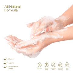 Lovery ingredients display with aloe vera and shea butter showing soothing properties