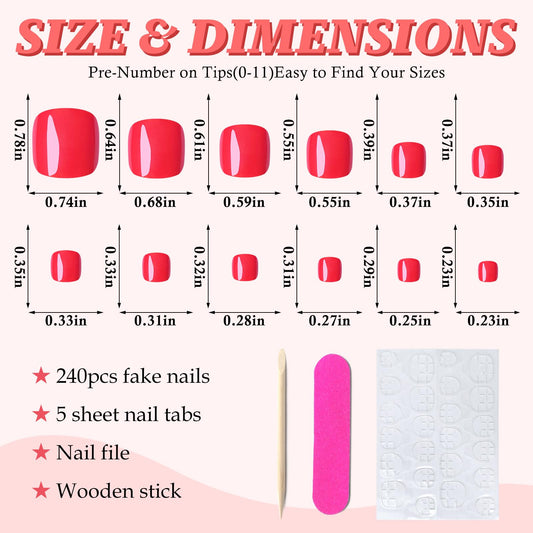 LuckForever open storage case displaying 12 sizes for precise fit