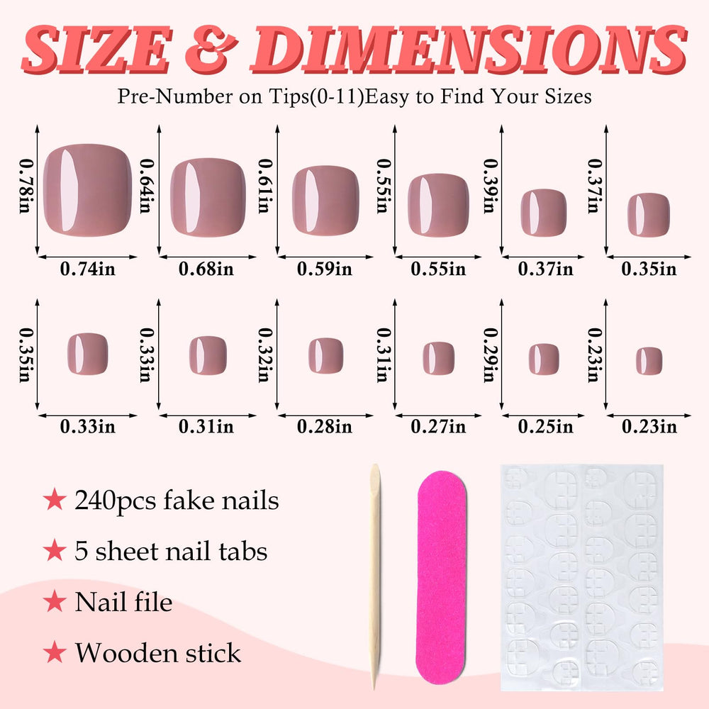 LuckForever open storage case displaying 12 sizes of toe tips, organized for easy selection
