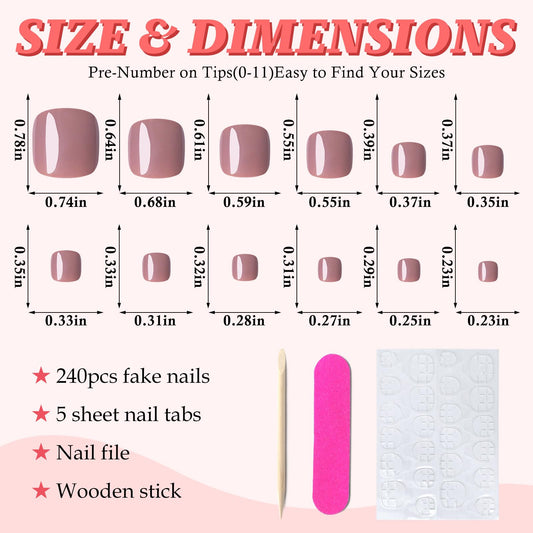 LuckForever open storage case displaying 12 sizes of toe tips, organized for easy selection