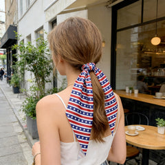 LYLYNB star stripe and fireworks patterns highlighting festive design