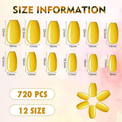 Maitys nails in hand showing scale and wearable medium length