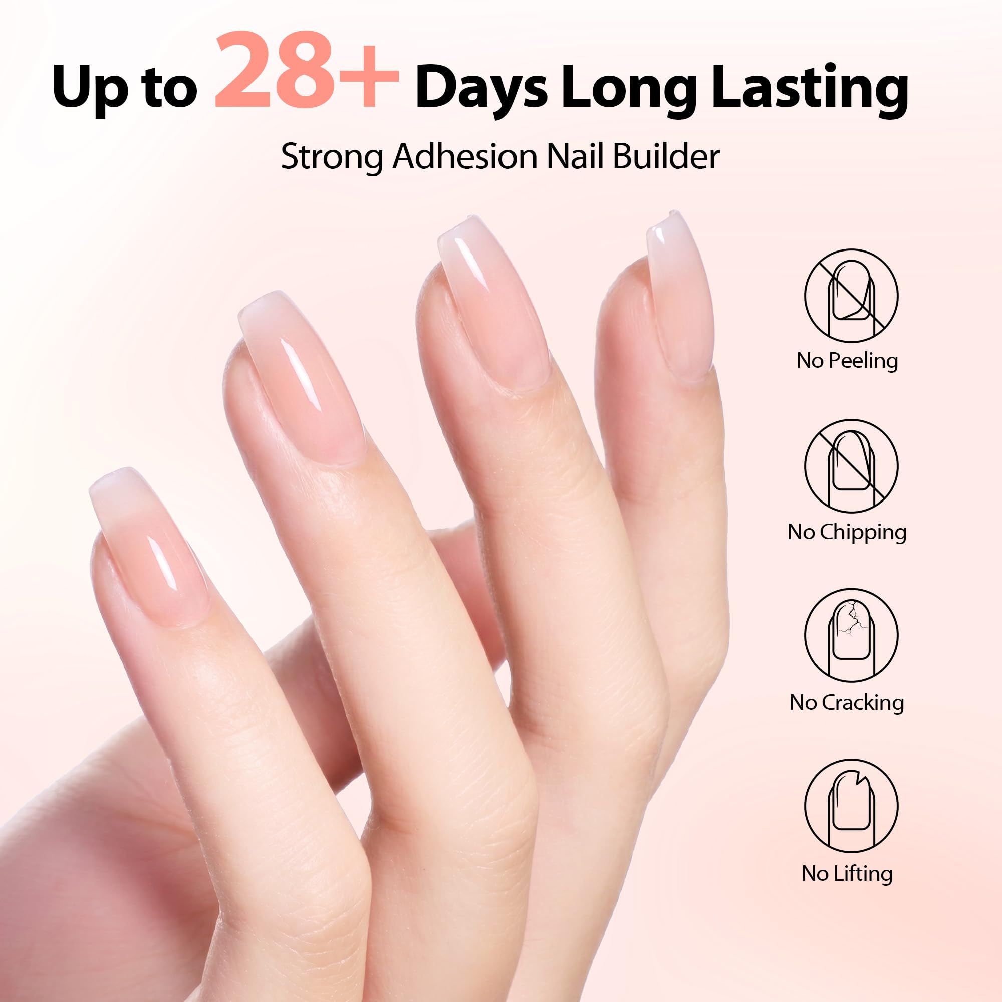 Makartt cured nail apex profile illustrating salon C-curve strength