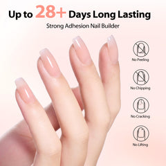 Makartt cured nail apex profile illustrating salon C-curve strength