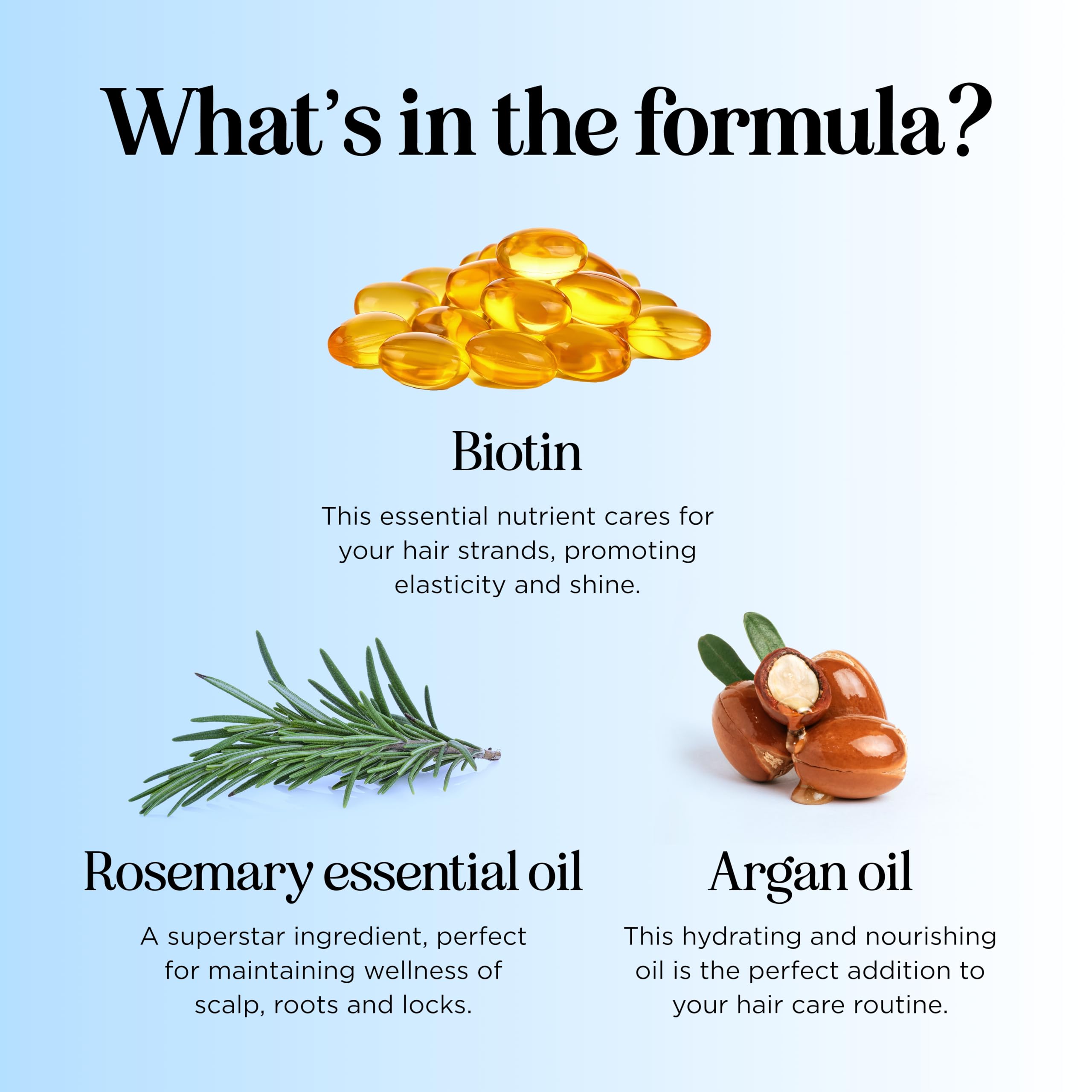 Maple Holistics ingredients scene with argan oil and rosemary for nourishment