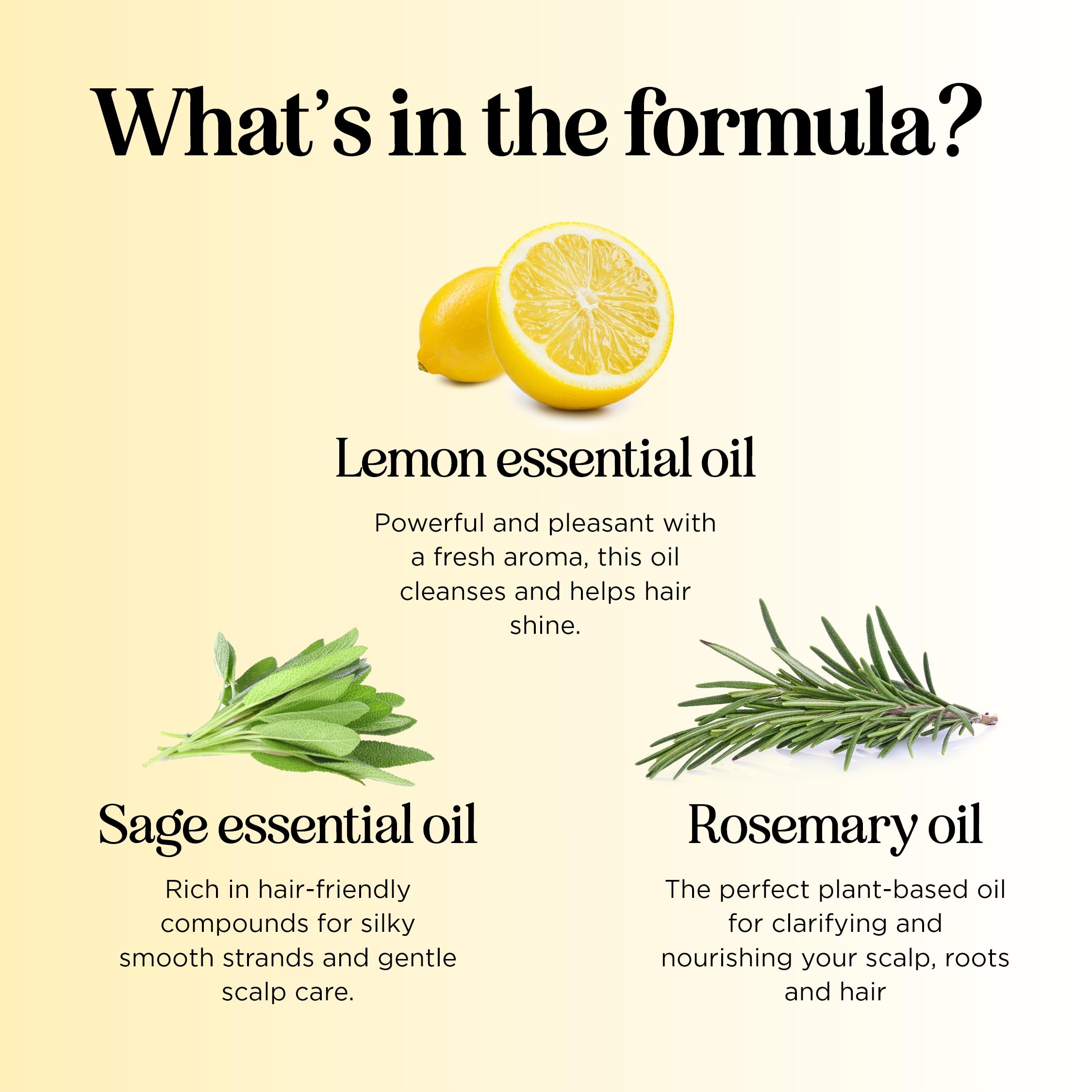 Maple Holistics shampoo poured on palm illustrating easy application and spread