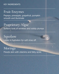 MARA algae and papaya ingredients flatlay illustrating enzyme exfoliation and marine nutrients