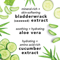 Mario Badescu ingredients with cucumber and aloe showcasing natural refreshment