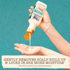 Maui Moisture 13 fl oz bottle next to common items for scale and convenience