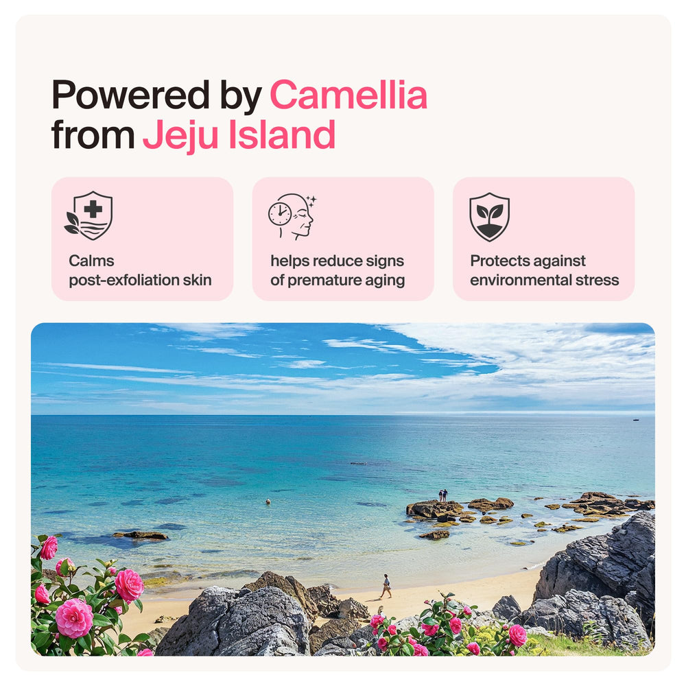 Meebak Jeju Camellia plant image indicating botanical antioxidant support
