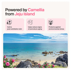 Meebak Jeju Camellia plant image indicating botanical antioxidant support