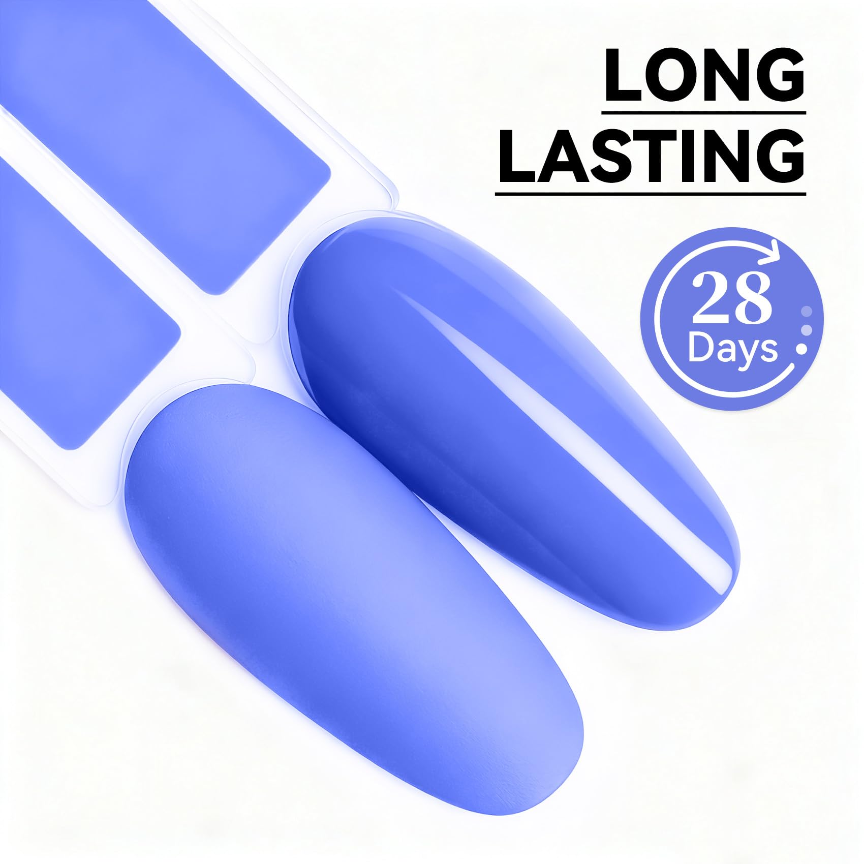 MEGIOR color swatch fan displaying blue to purple gradient for accurate color preview