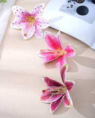 Mesovor clipped on canvas bag highlighting accessory personalization benefit
