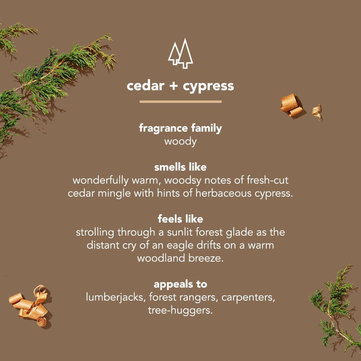Method cedar & cypress in-shower lifestyle image showing easy daily use