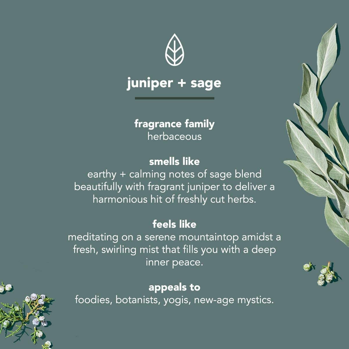Method Juniper + Sage pump close-up demonstrating easy dispensing