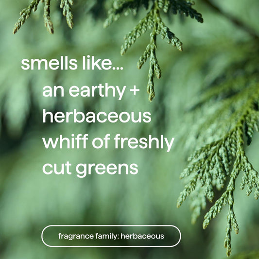 Method body wash close-up lather texture demonstrating quick-foaming benefit