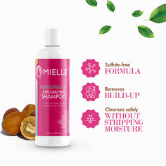 Mielle Organics bottle held in hand showing 8 fl oz size clarity