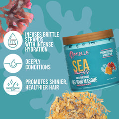 Mielle Organics sea moss gel texture close-up showing hydrating slip