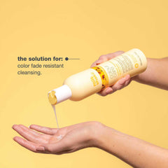 milk_shake milk proteins and sunflower extract ingredients display for nourishing benefits