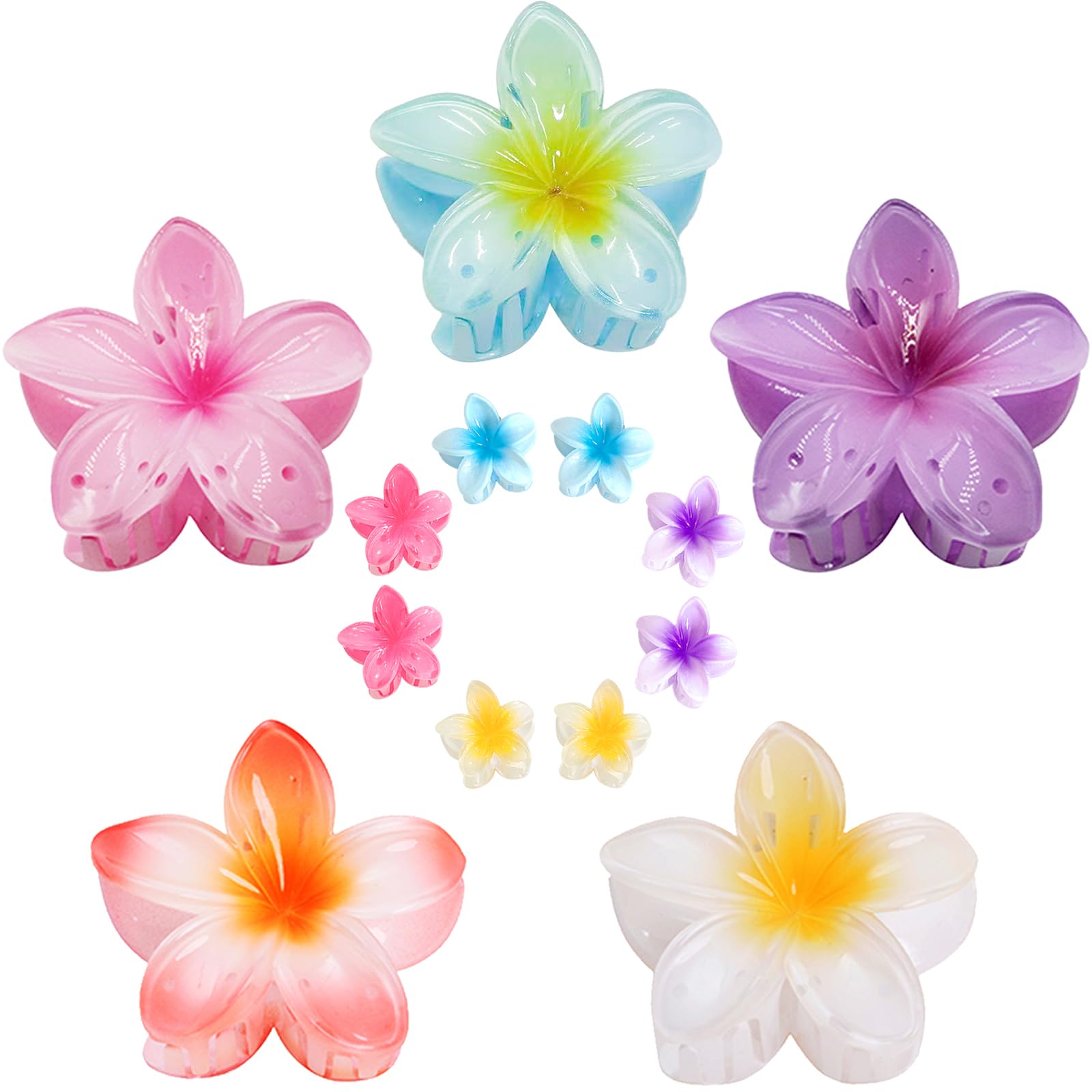 miniluck front packaging showing 13-piece colorful floral set and neat box