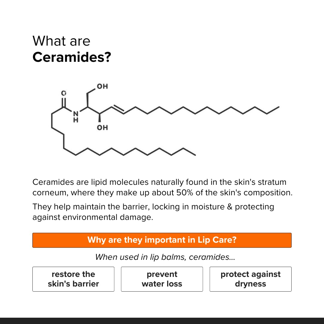 Minimalist ceramide lip balm ingredients flatlay with ceramide and hyaluronic acid for barrier support