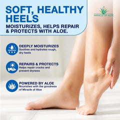 Miracle of Aloe ingredient spoons with shea, cocoa, and tea tree conveying nourishing benefits