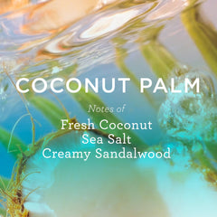 MIX:BAR flatlay of coconut, sea salt, and sandalwood notes to convey scent profile