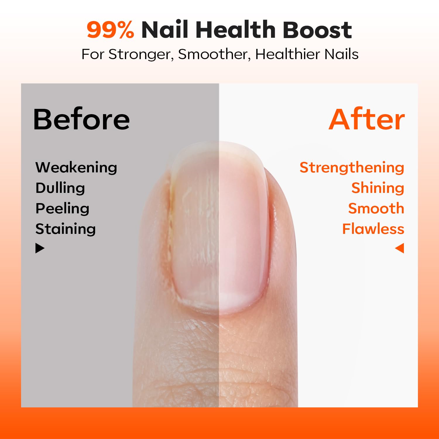 modelones brush applying strengthener on nail delivering smooth even coverage