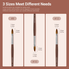 MODELONES brush forming acrylic bead during application for consistent results