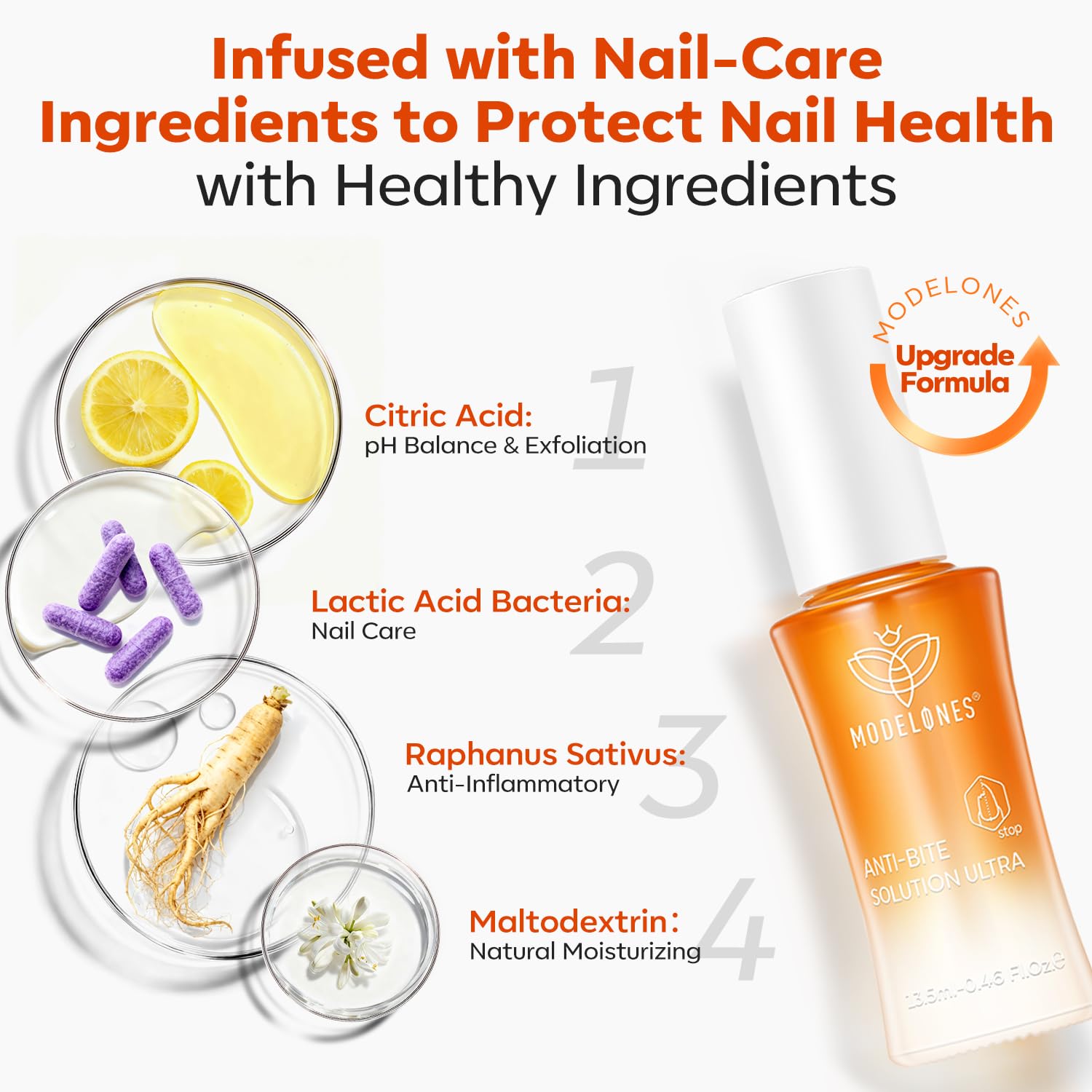 modelones label and ingredient panel showing transparent product information benefit