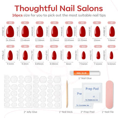 modelones nail kit contents laid out including glue tabs and tools for complete prep
