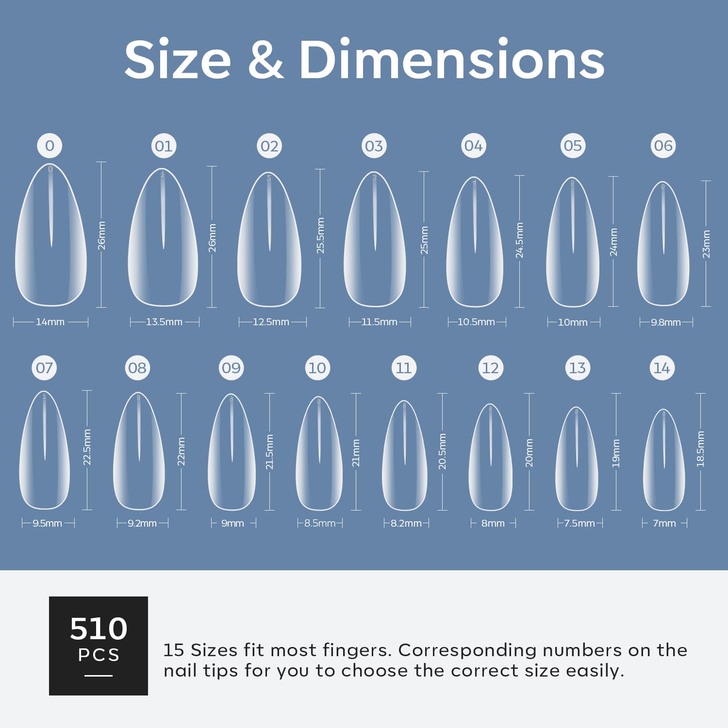 modelones next to coin showing scale and ample supply benefit