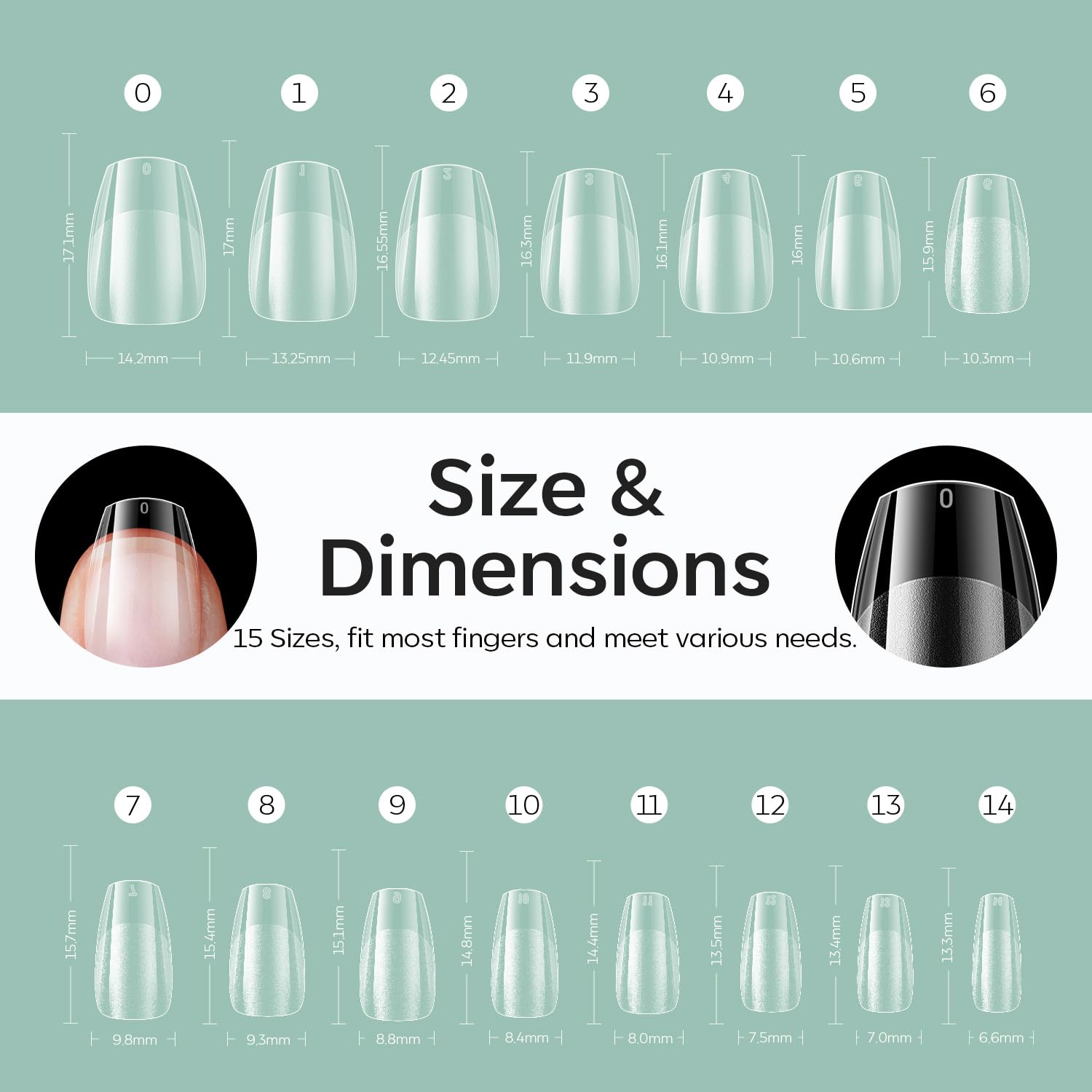 modelones size comparison on hand scale illustrating proper fit and proportion